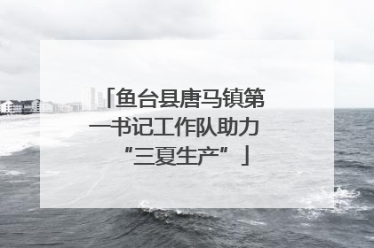 鱼台县唐马镇第一书记工作队助力“三夏生产”