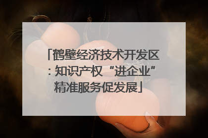 鹤壁经济技术开发区：知识产权“进企业” 精准服务促发展