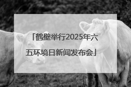 鹤壁举行2025年六五环境日新闻发布会
