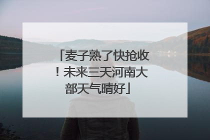 麦子熟了快抢收！未来三天河南大部天气晴好