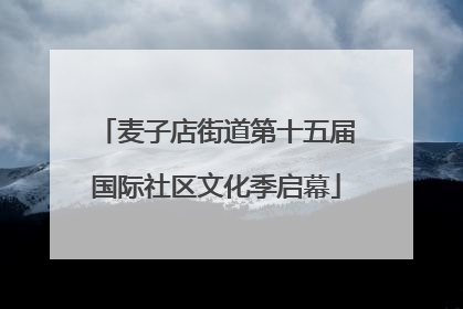 麦子店街道第十五届国际社区文化季启幕