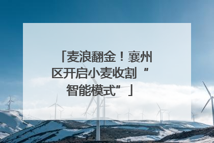 麦浪翻金！襄州区开启小麦收割“智能模式”