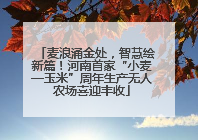 麦浪涌金处，智慧绘新篇！河南首家“小麦—玉米”周年生产无人农场喜迎丰收