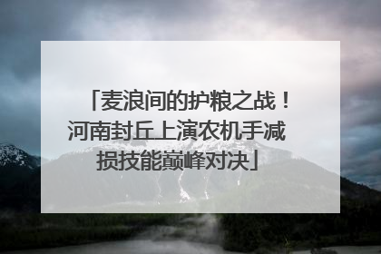 麦浪间的护粮之战！河南封丘上演农机手减损技能巅峰对决