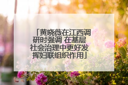 黄晓薇在江西调研时强调 在基层社会治理中更好发挥妇联组织作用