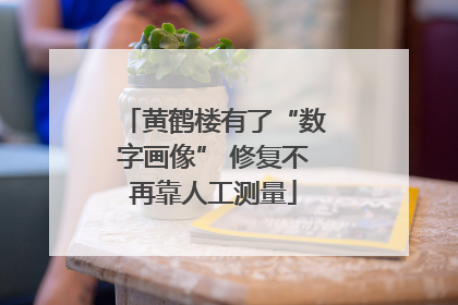 黄鹤楼有了“数字画像” 修复不再靠人工测量
