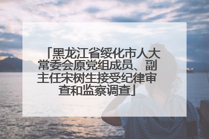 黑龙江省绥化市人大常委会原党组成员、副主任宋树生接受纪律审查和监察调查