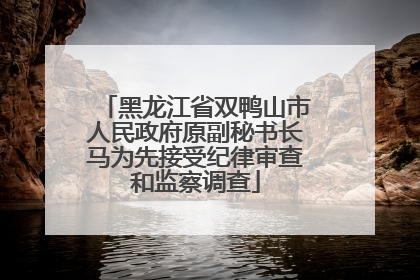 黑龙江省双鸭山市人民政府原副秘书长马为先接受纪律审查和监察调查