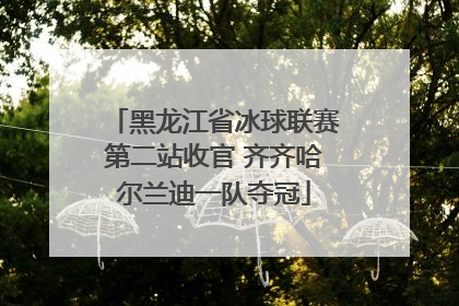 黑龙江省冰球联赛第二站收官 齐齐哈尔兰迪一队夺冠