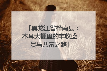 黑龙江省桦南县：木耳大棚里的丰收盛景与共富之路