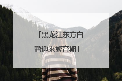 黑龙江东方白鹳迎来繁育期