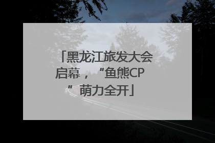 黑龙江旅发大会启幕，“鱼熊CP”萌力全开
