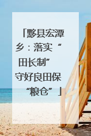 黟县宏潭乡：落实“田长制” 守好良田保“粮仓”