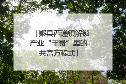 黟县西递镇解锁产业“丰景”里的共富方程式