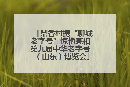 鼎香村携“聊城老字号”惊艳亮相第九届中华老字号（山东）博览会