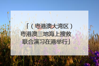 （粤港澳大湾区）粤港澳三地海上搜救联合演习在港举行