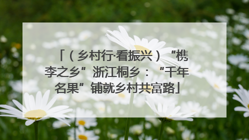 （乡村行·看振兴）“槜李之乡”浙江桐乡：“千年名果”铺就乡村共富路