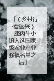 （乡村行·看振兴）一座肉牛小镇入选国家级农业产业强镇名单之后