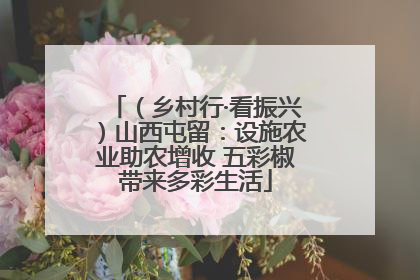 （乡村行·看振兴）山西屯留：设施农业助农增收 五彩椒带来多彩生活
