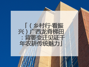（乡村行·看振兴）广西龙脊梯田：背篓变迁见证千年农耕传统魅力