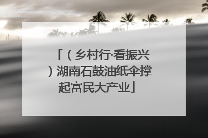 （乡村行·看振兴）湖南石鼓油纸伞撑起富民大产业