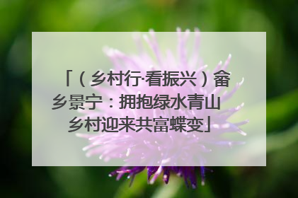 （乡村行·看振兴）畲乡景宁：拥抱绿水青山 乡村迎来共富蝶变