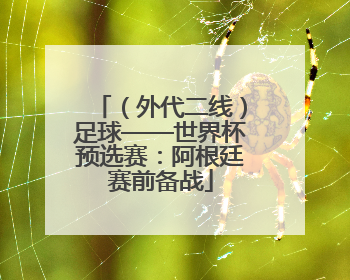 （外代二线）足球——世界杯预选赛：阿根廷赛前备战