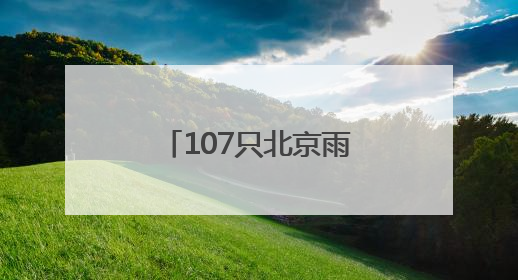 107只北京雨燕在颐和园完成年度“体检”