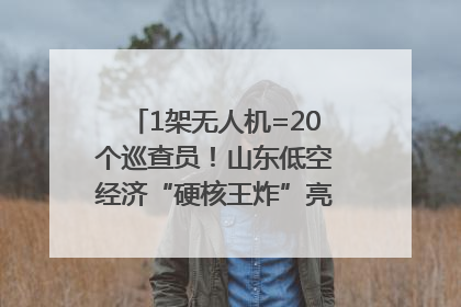 1架无人机=20个巡查员！山东低空经济“硬核王炸”亮相青岛，下一个万亿赛道藏在这里