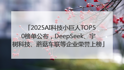 2025AI科技小巨人TOP50榜单公布，DeepSeek、宇树科技、蘑菇车联等企业荣誉上榜