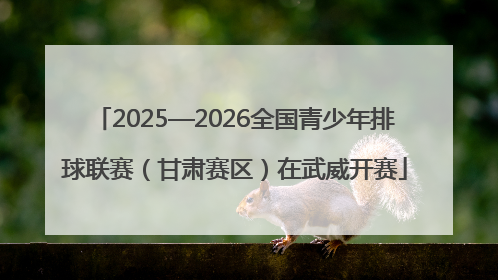 2025—2026全国青少年排球联赛（甘肃赛区）在武威开赛