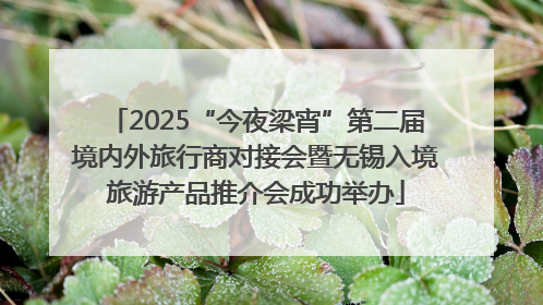 2025“今夜梁宵”第二届境内外旅行商对接会暨无锡入境旅游产品推介会成功举办