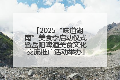 2025“味道湖南”美食季启动仪式暨岳阳啤酒美食文化交流推广活动举办