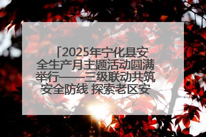 2025年宁化县安全生产月主题活动圆满举行——三级联动共筑安全防线 探索老区安全发展新路径