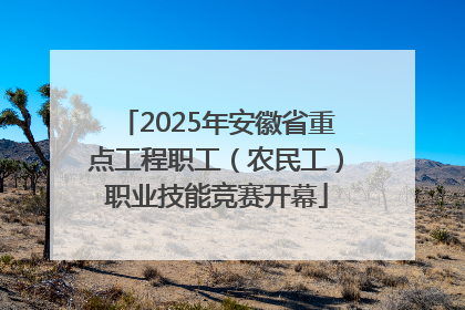 2025年安徽省重点工程职工（农民工）职业技能竞赛开幕