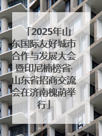 2025年山东国际友好城市合作与发展大会暨印尼楠榜省·山东省招商交流会在济南槐荫举行