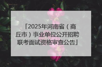 2025年河南省（商丘市）事业单位公开招聘联考面试资格审查公告