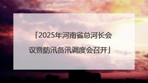 2025年河南省总河长会议暨防汛备汛调度会召开