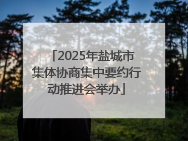 2025年盐城市集体协商集中要约行动推进会举办