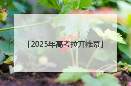 2025年高考拉开帷幕