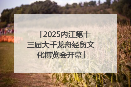 2025内江第十三届大千龙舟经贸文化博览会开幕