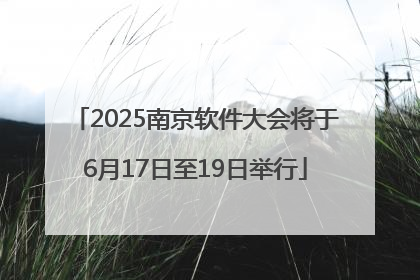 2025南京软件大会将于6月17日至19日举行