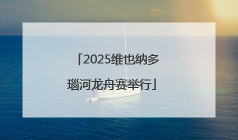 2025维也纳多瑙河龙舟赛举行
