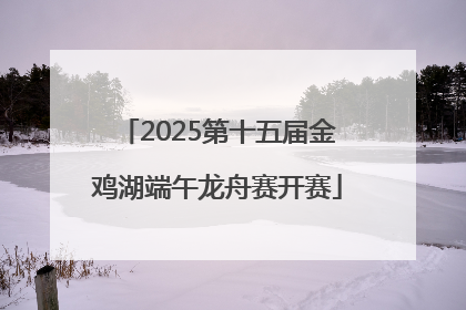 2025第十五届金鸡湖端午龙舟赛开赛