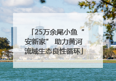 25万余尾小鱼“安新家” 助力黄河流域生态良性循环