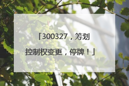 300327，筹划控制权变更，停牌！