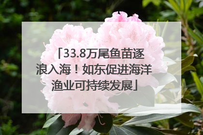 33.8万尾鱼苗逐浪入海！如东促进海洋渔业可持续发展