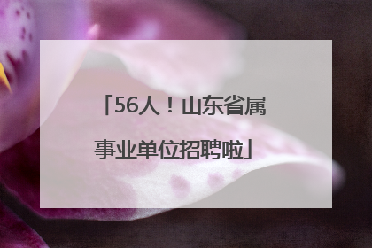 56人！山东省属事业单位招聘啦