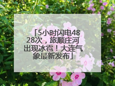 5小时闪电4828次，旅顺庄河出现冰雹！大连气象最新发布