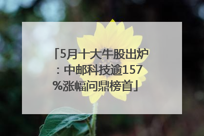 5月十大牛股出炉：中邮科技逾157%涨幅问鼎榜首